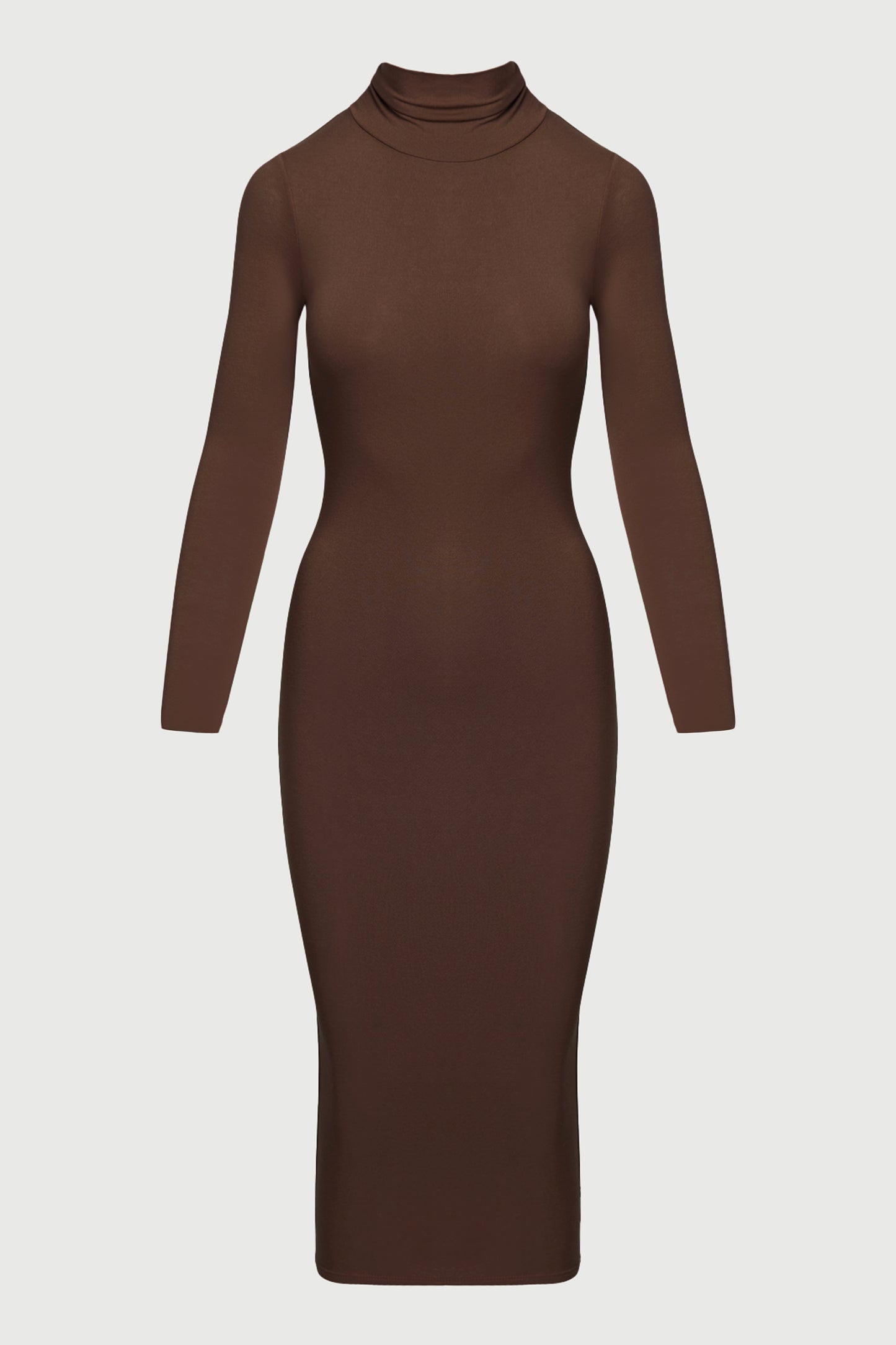 NW Turtleneck Midi Dress