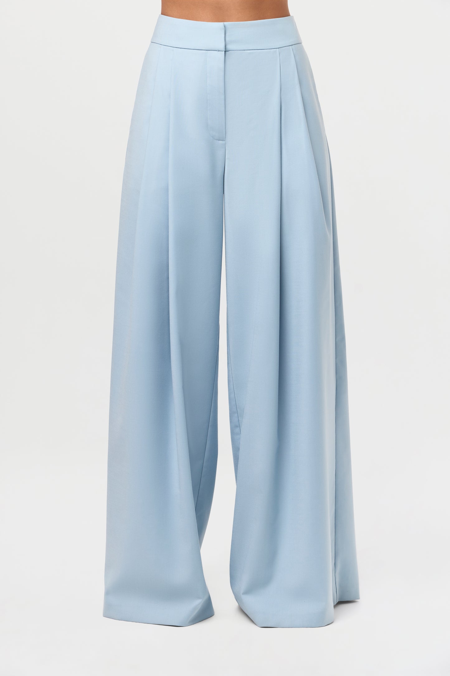 Pleated Suited Wide Leg Pants