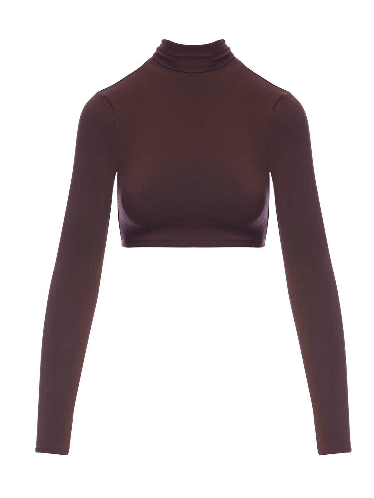 NW Turtleneck Crop Top