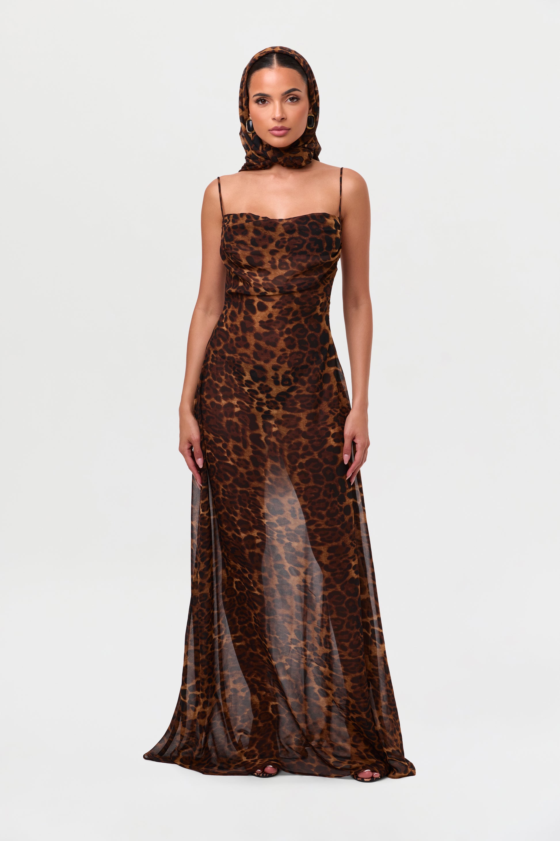Chiffon Leopard Print Maxi Dress