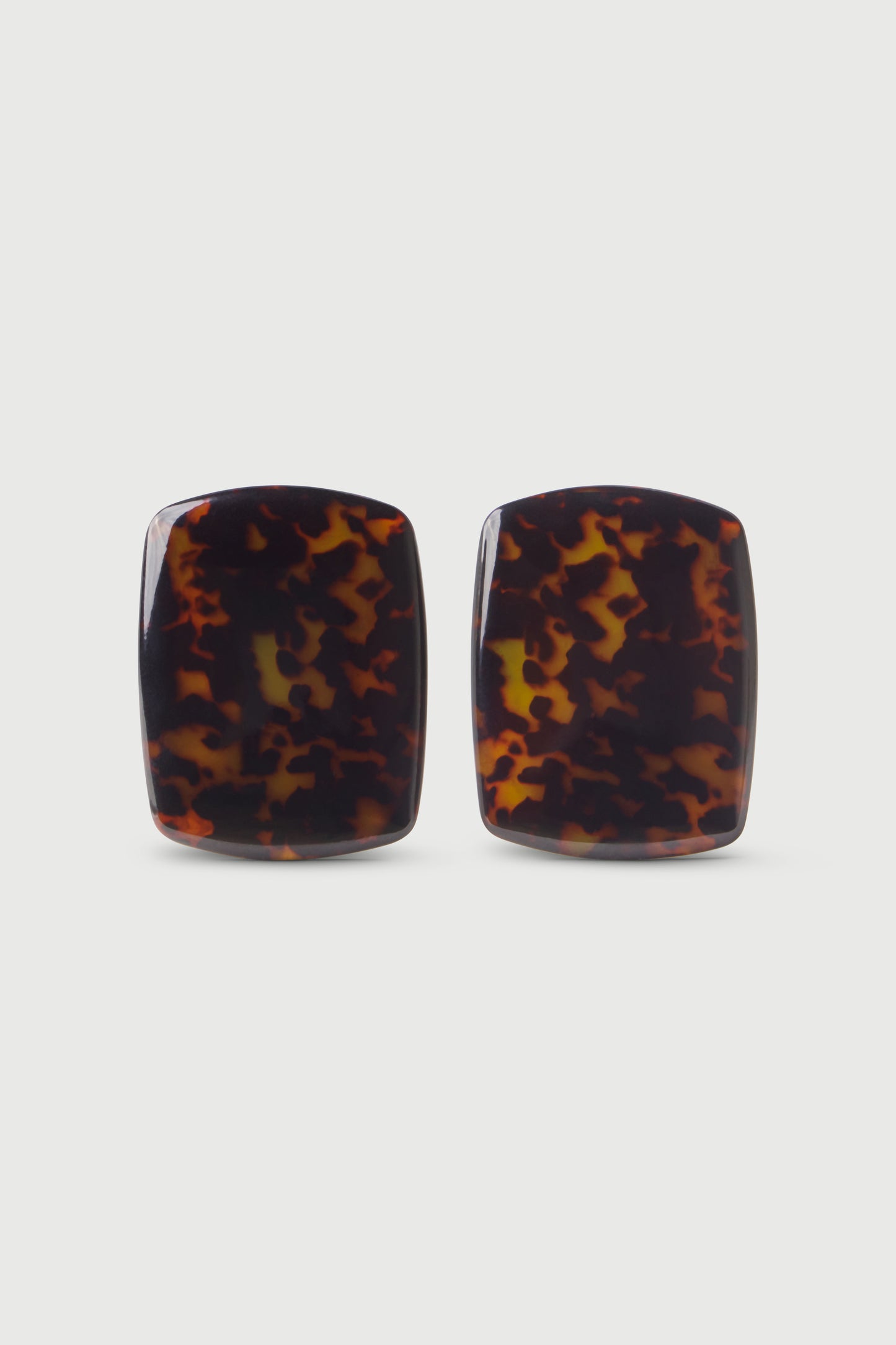 Tortoise Resin Stone Earrings