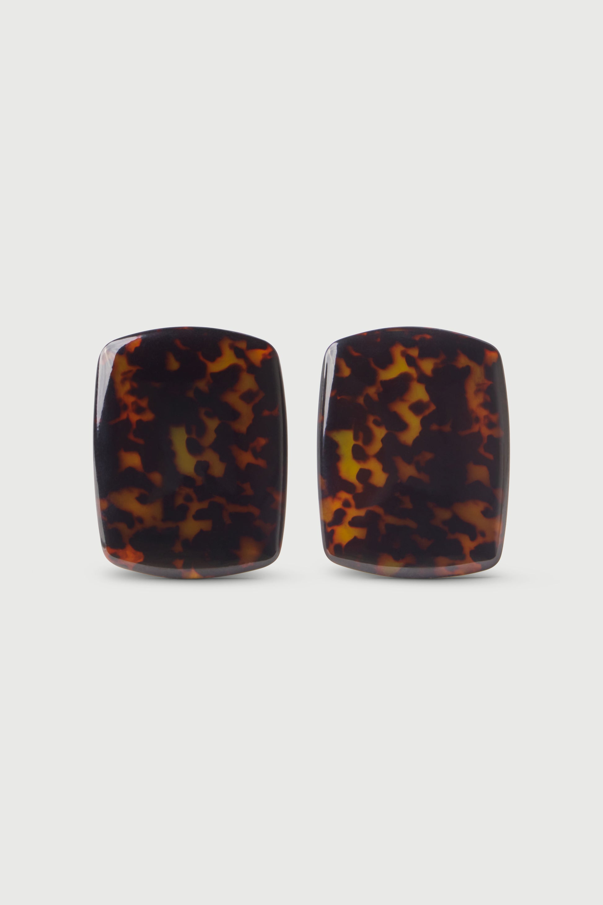 Tortoise Resin Stone Earrings