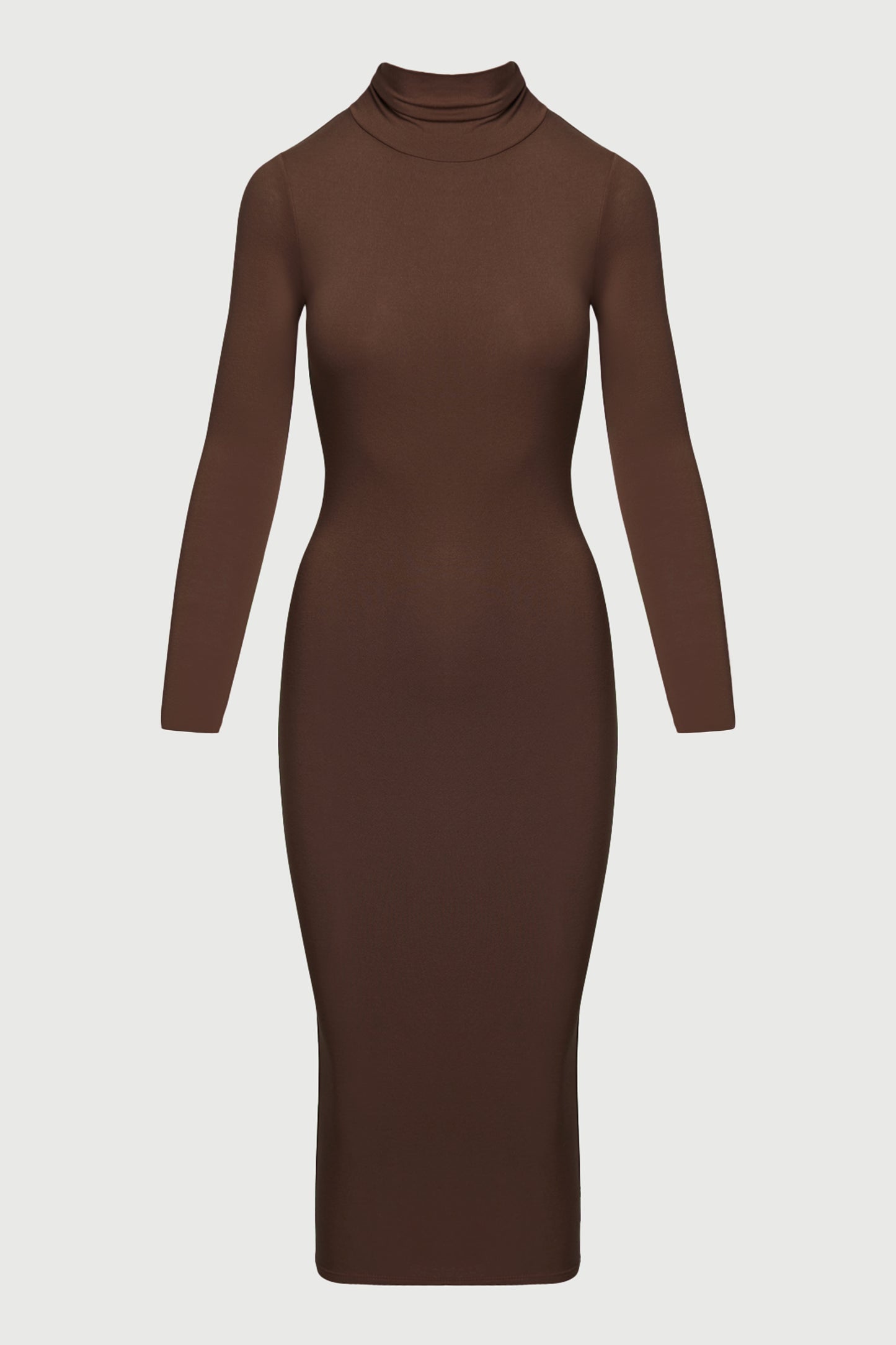 NW Turtleneck Midi Dress