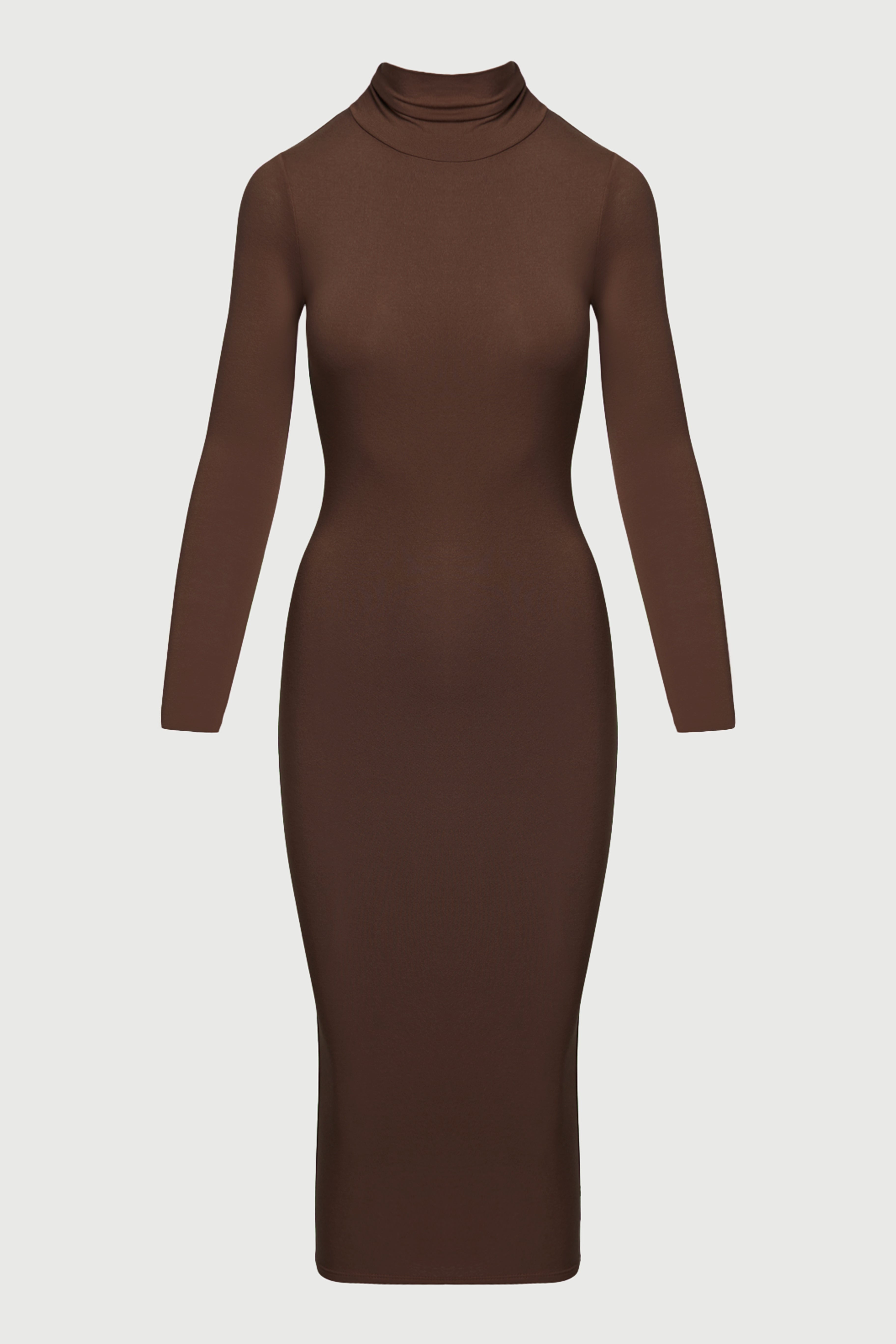 NW Turtleneck Midi Dress