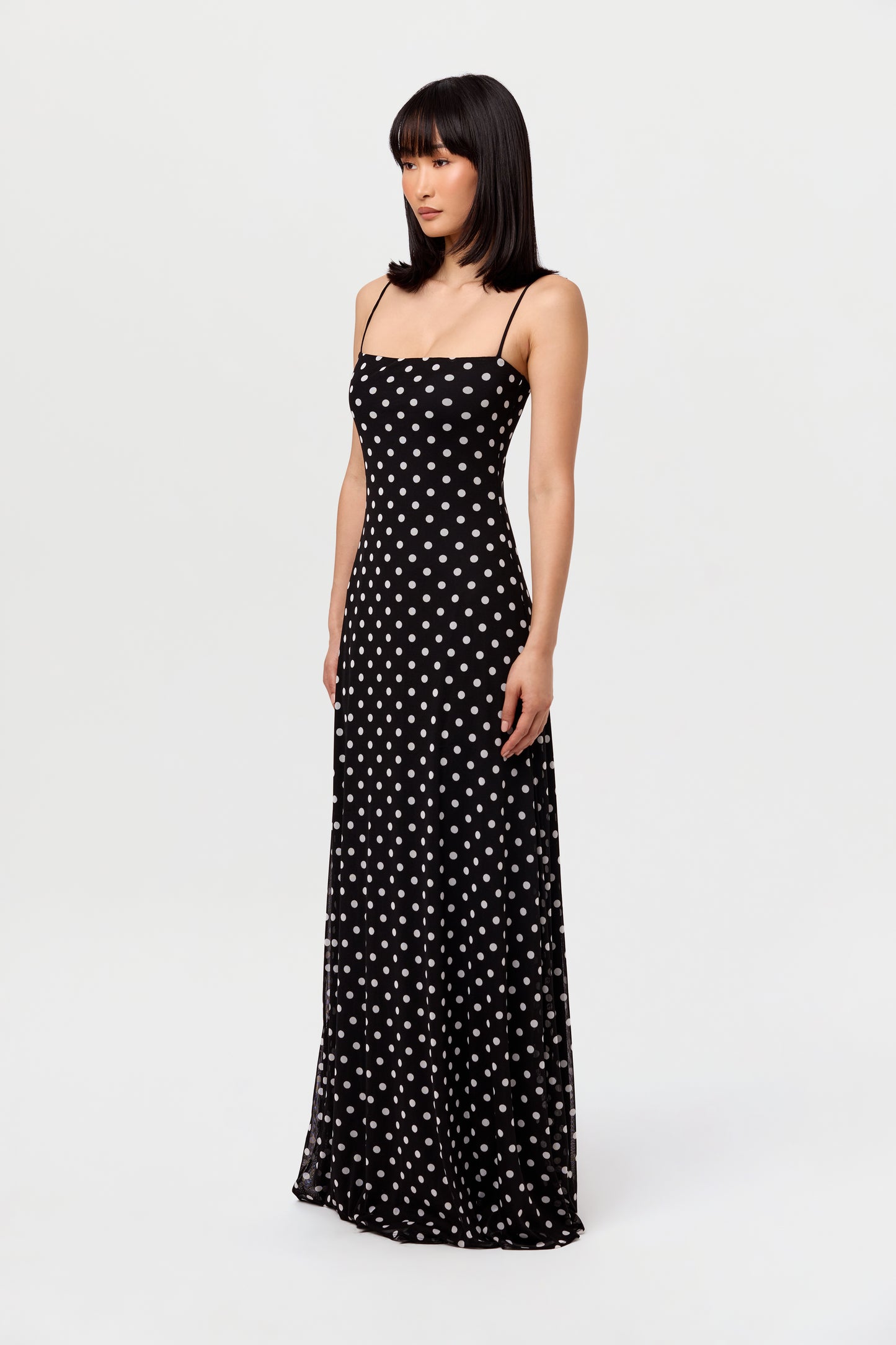 Polka Dot A-Line Maxi Dress