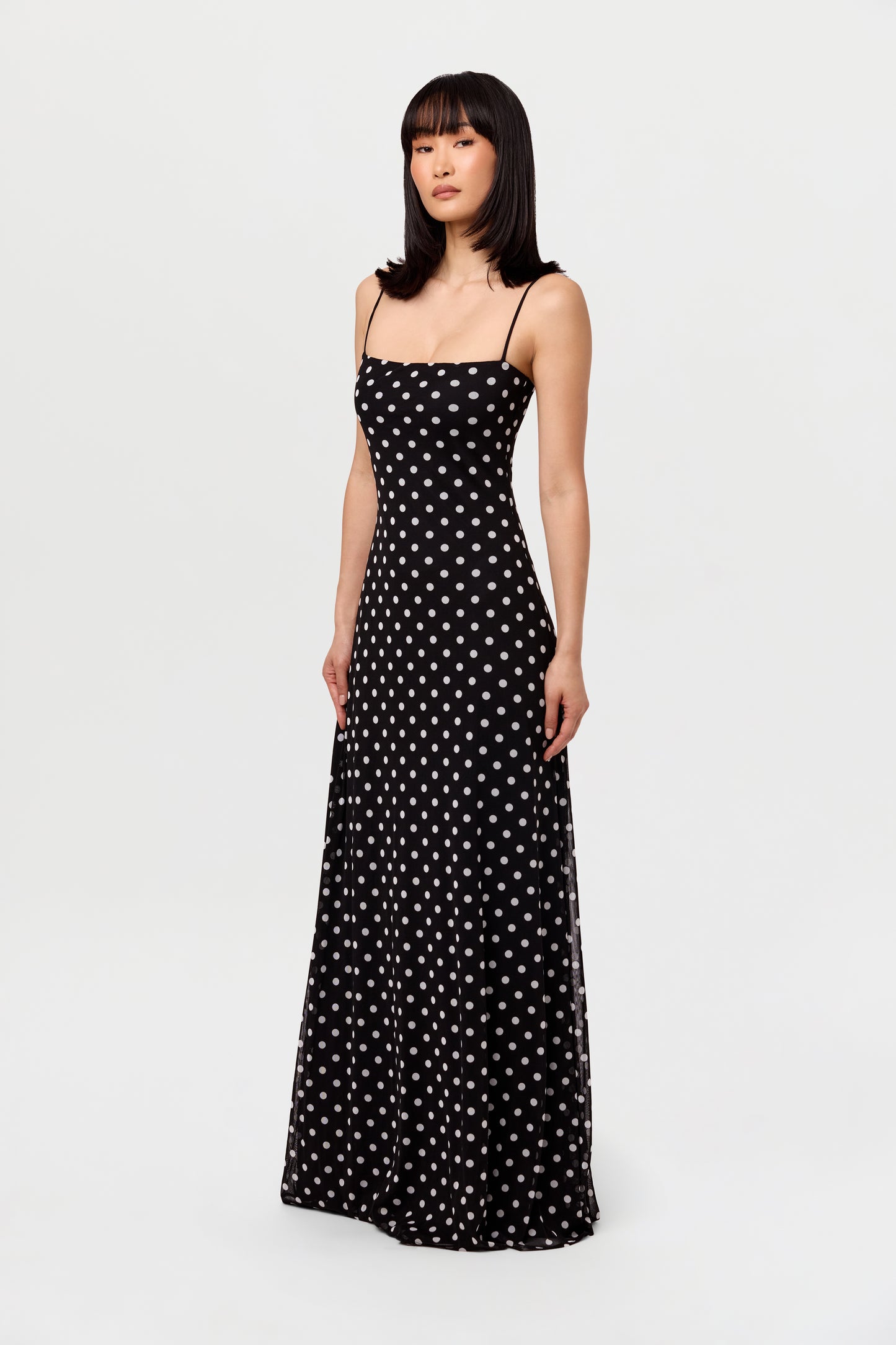 Polka Dot A-Line Maxi Dress