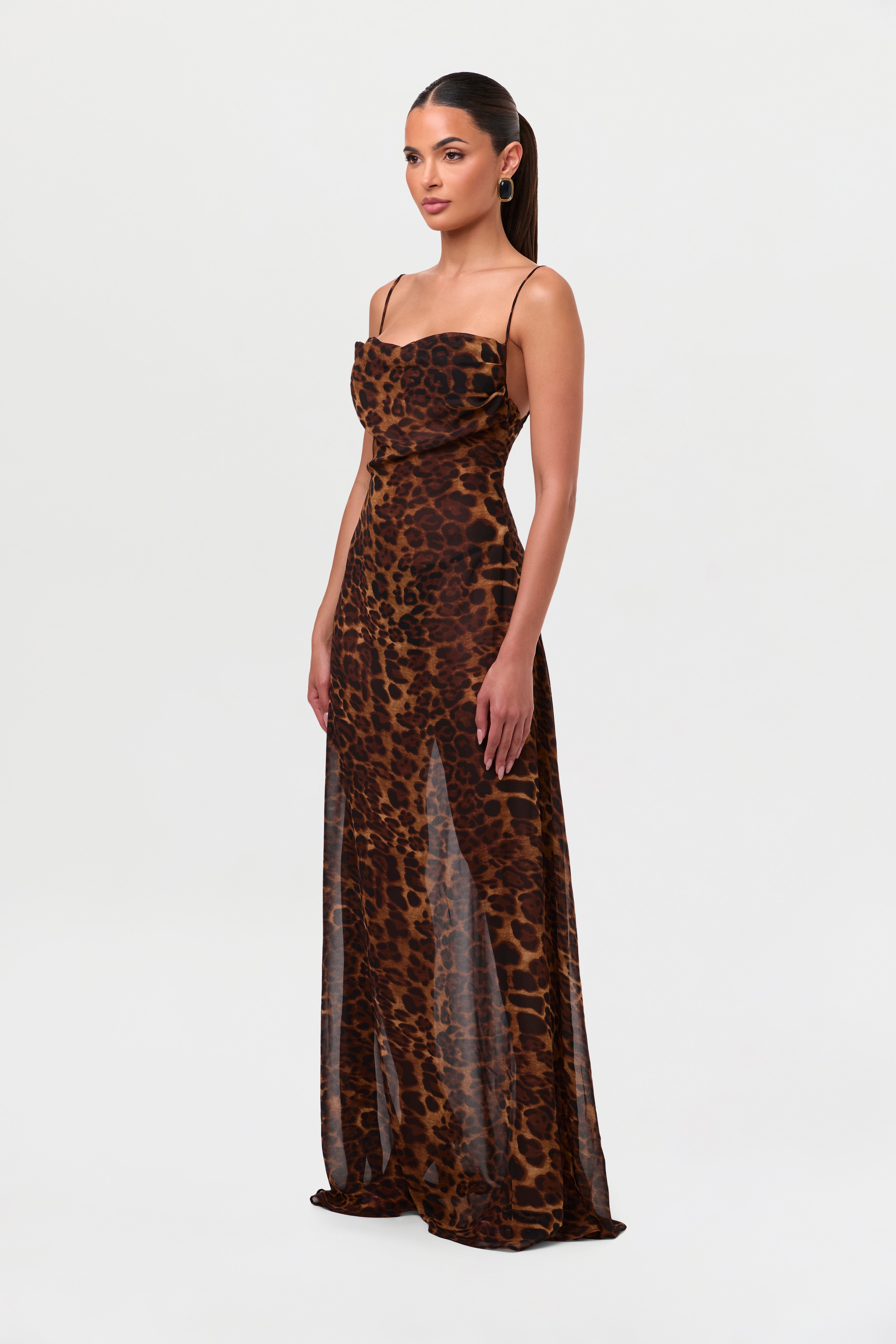 Chiffon Leopard Print Maxi Dress