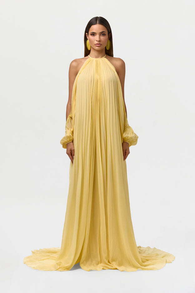 Chiffon Pleated Gown
