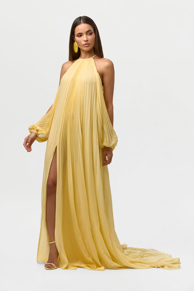 Chiffon Pleated Gown