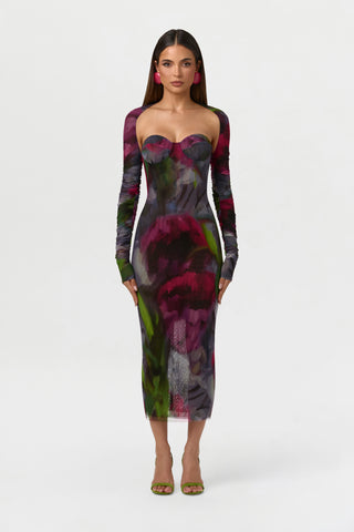 Mesh Print Midi Dress