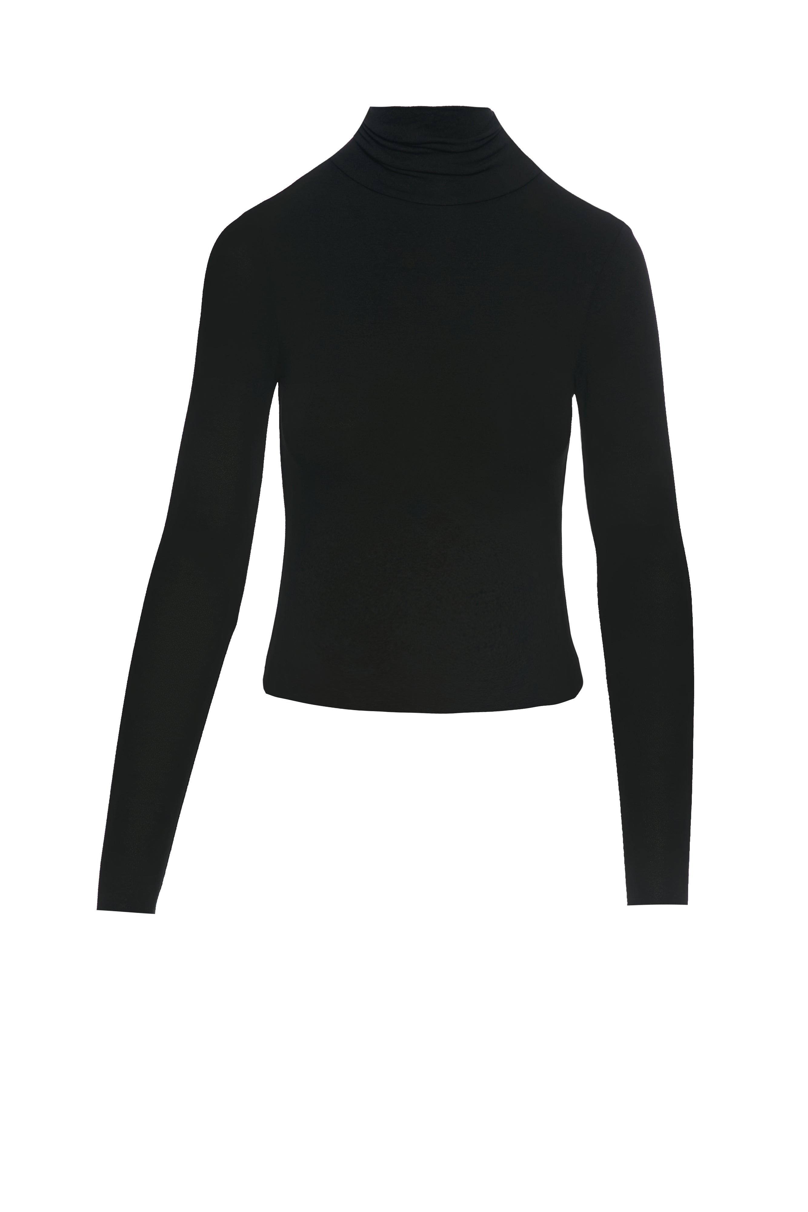 NW Turtleneck Sculpt Top