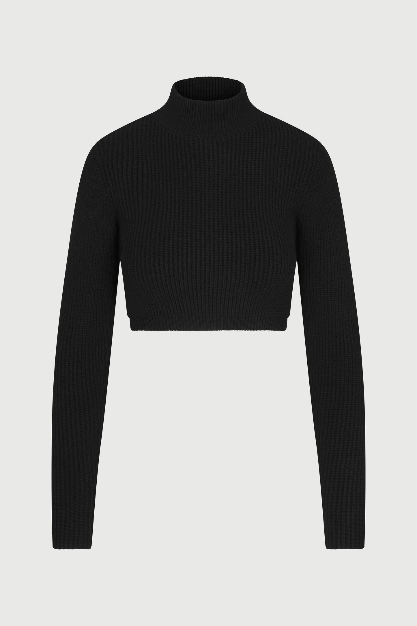 Ribbed Turtleneck Crop Top