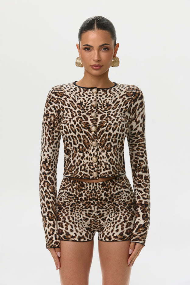 Knit Leopard Jacquard Shorts