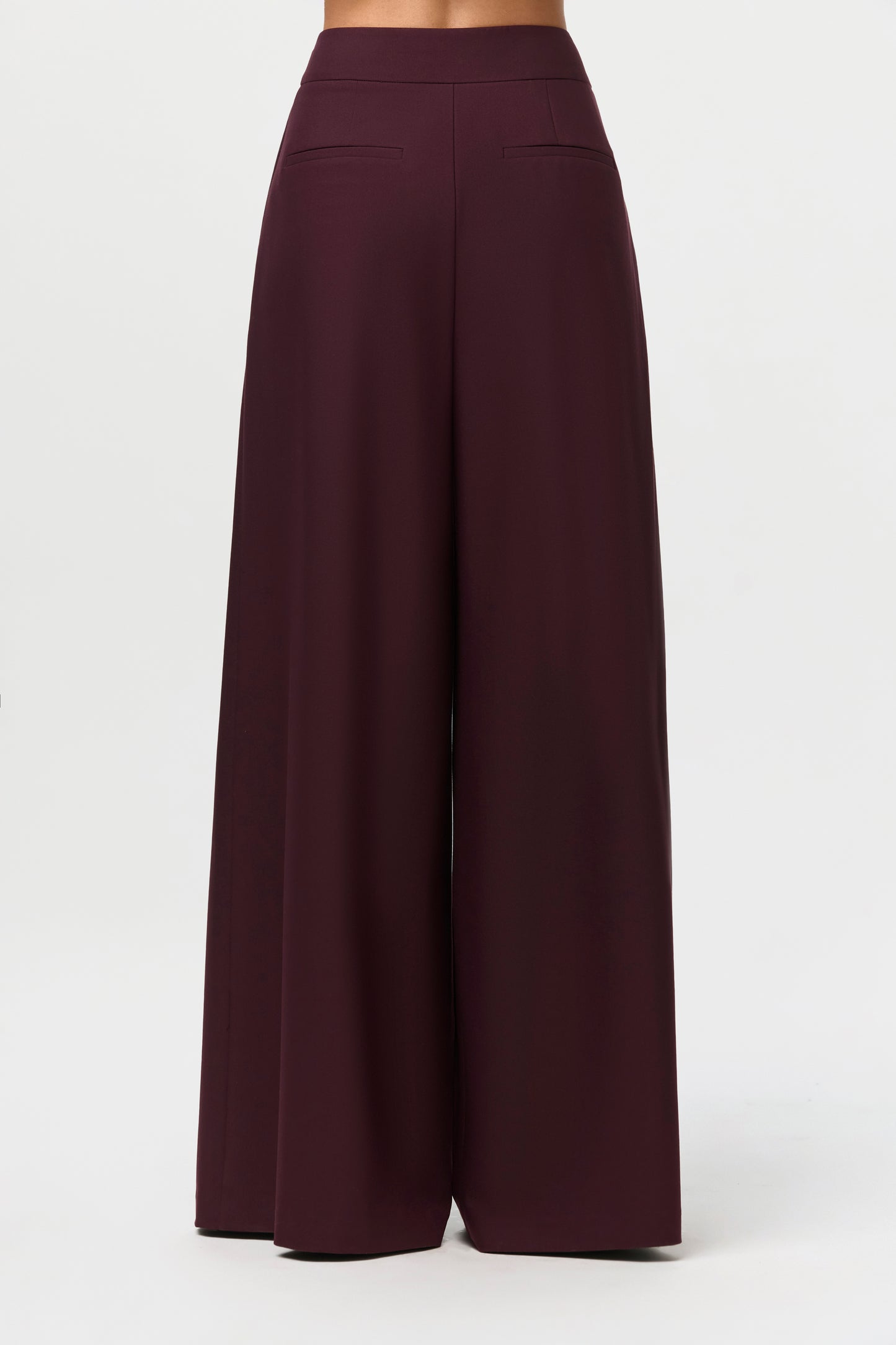 Suiting Pleated Wide-Leg Pant