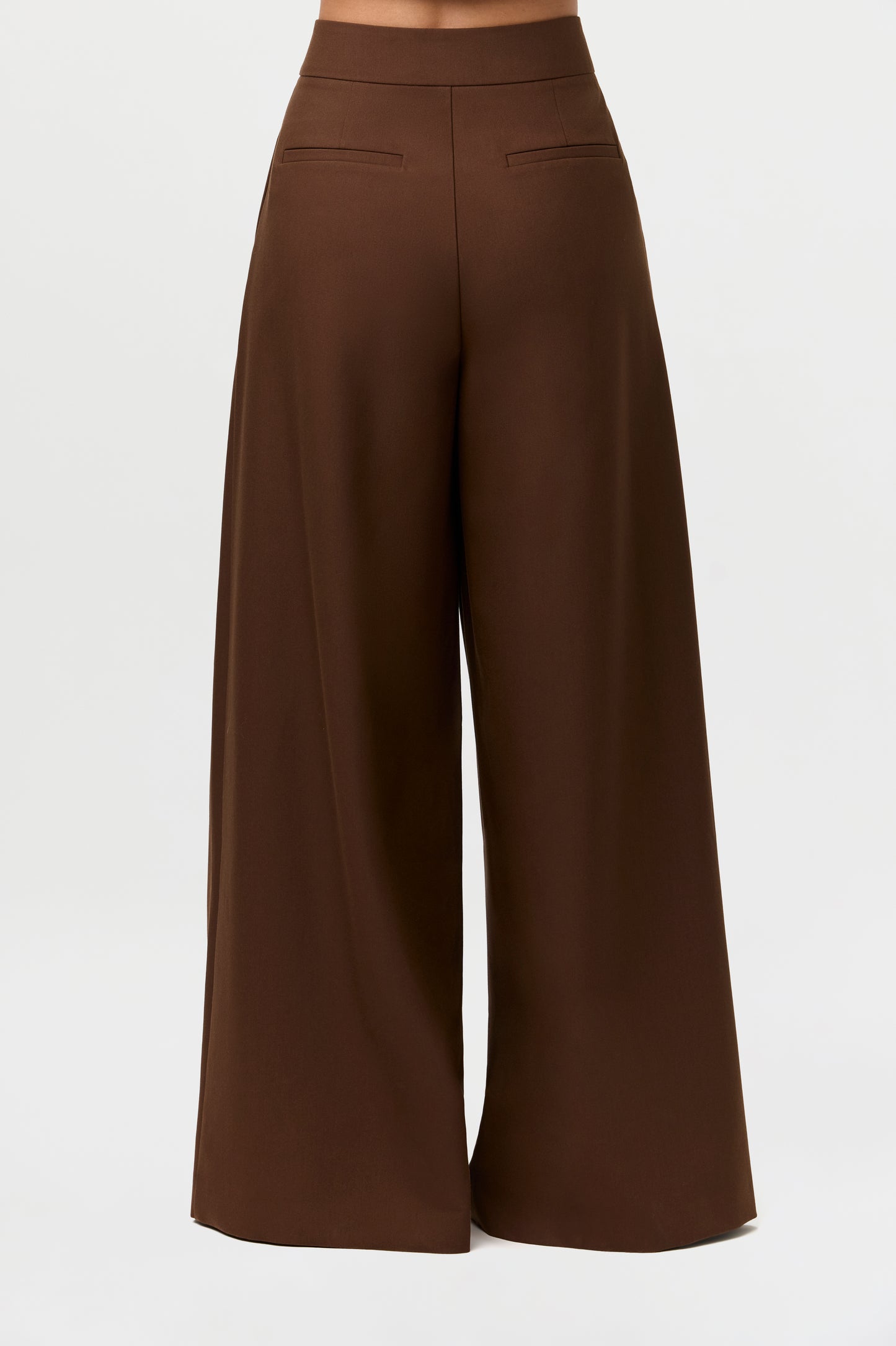 Suiting Pleated Wide-Leg Pant