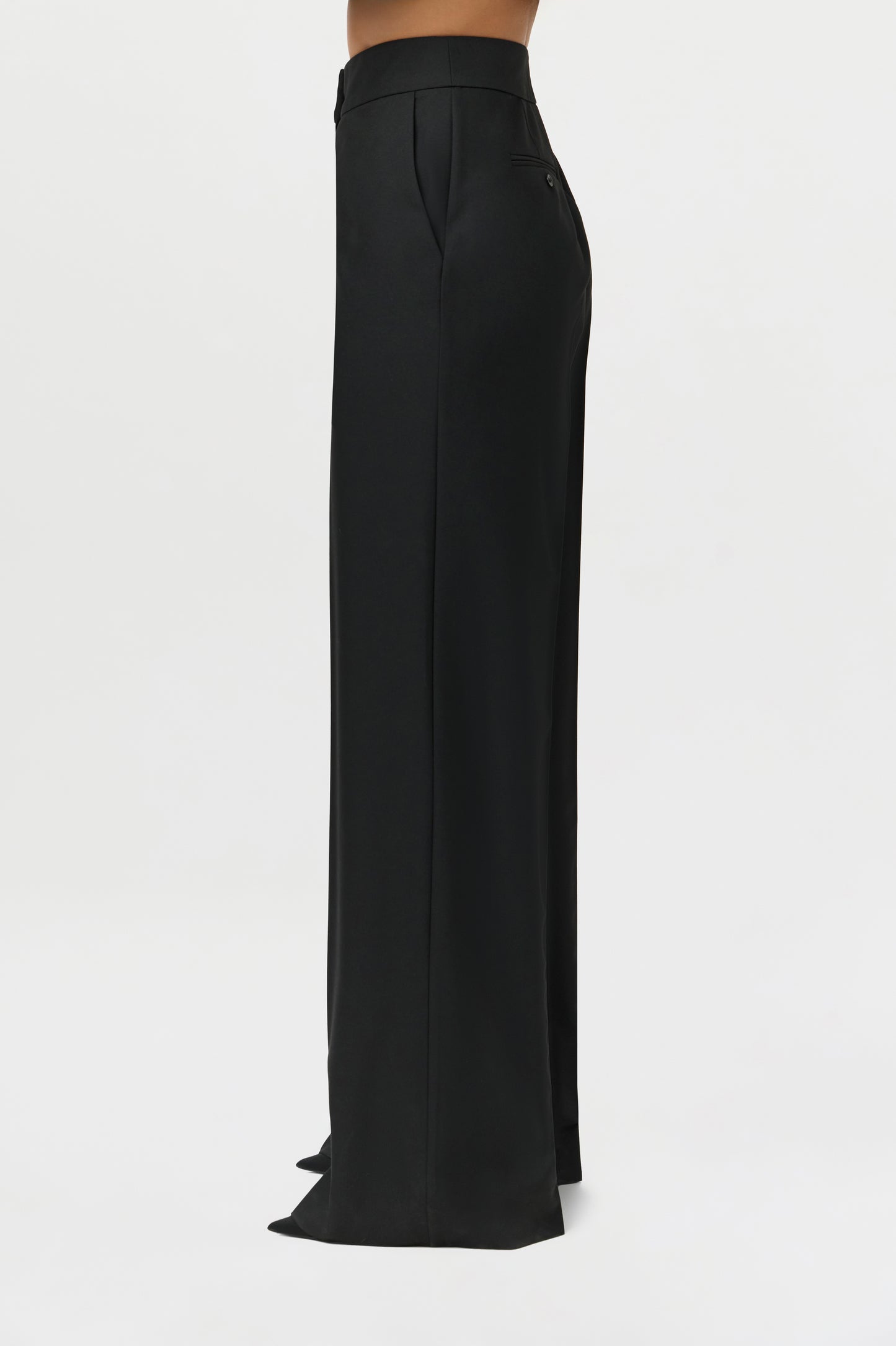 Suiting Seam Wide-Leg Pants
