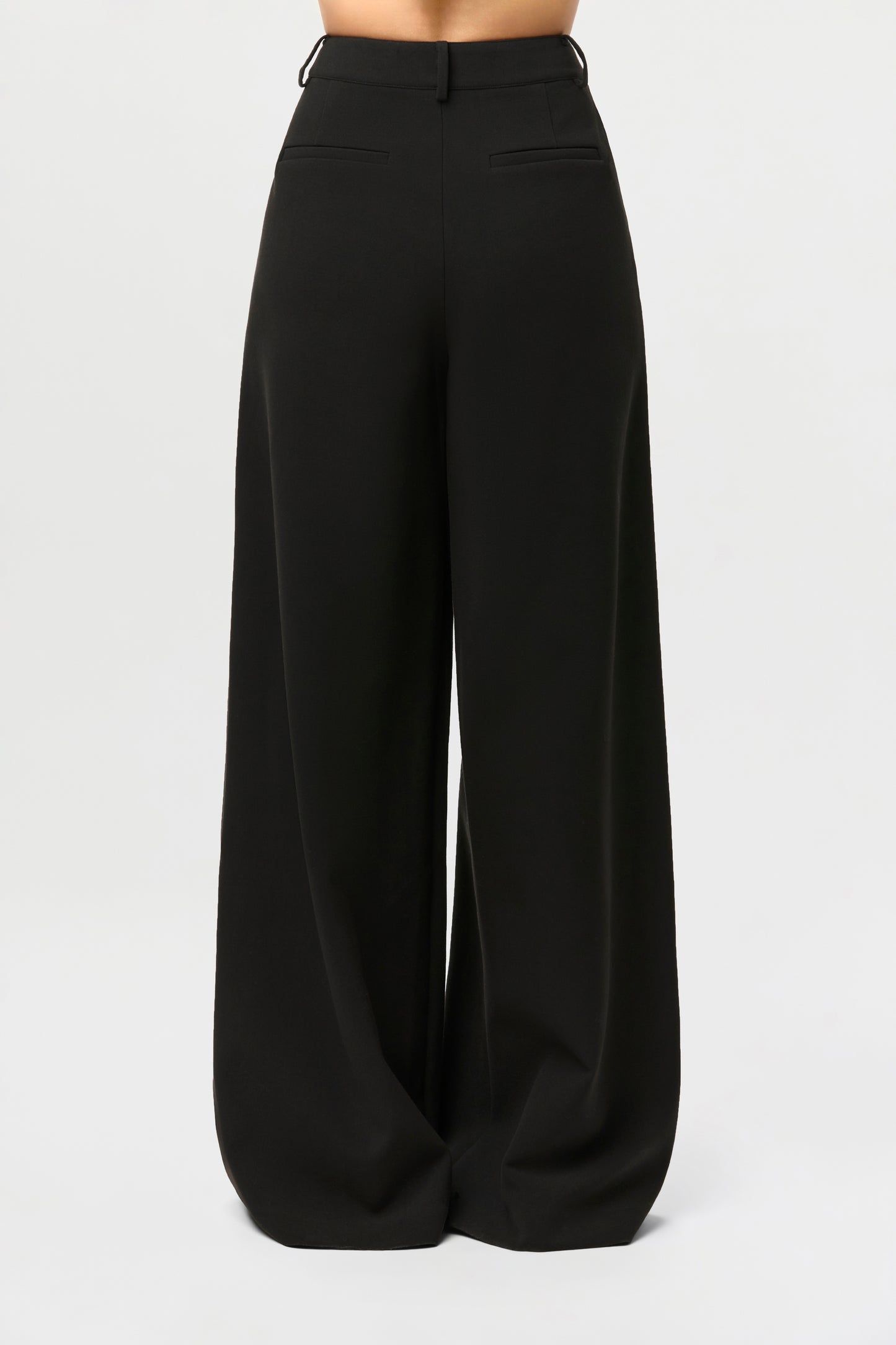 Suiting Wide-Leg Pants