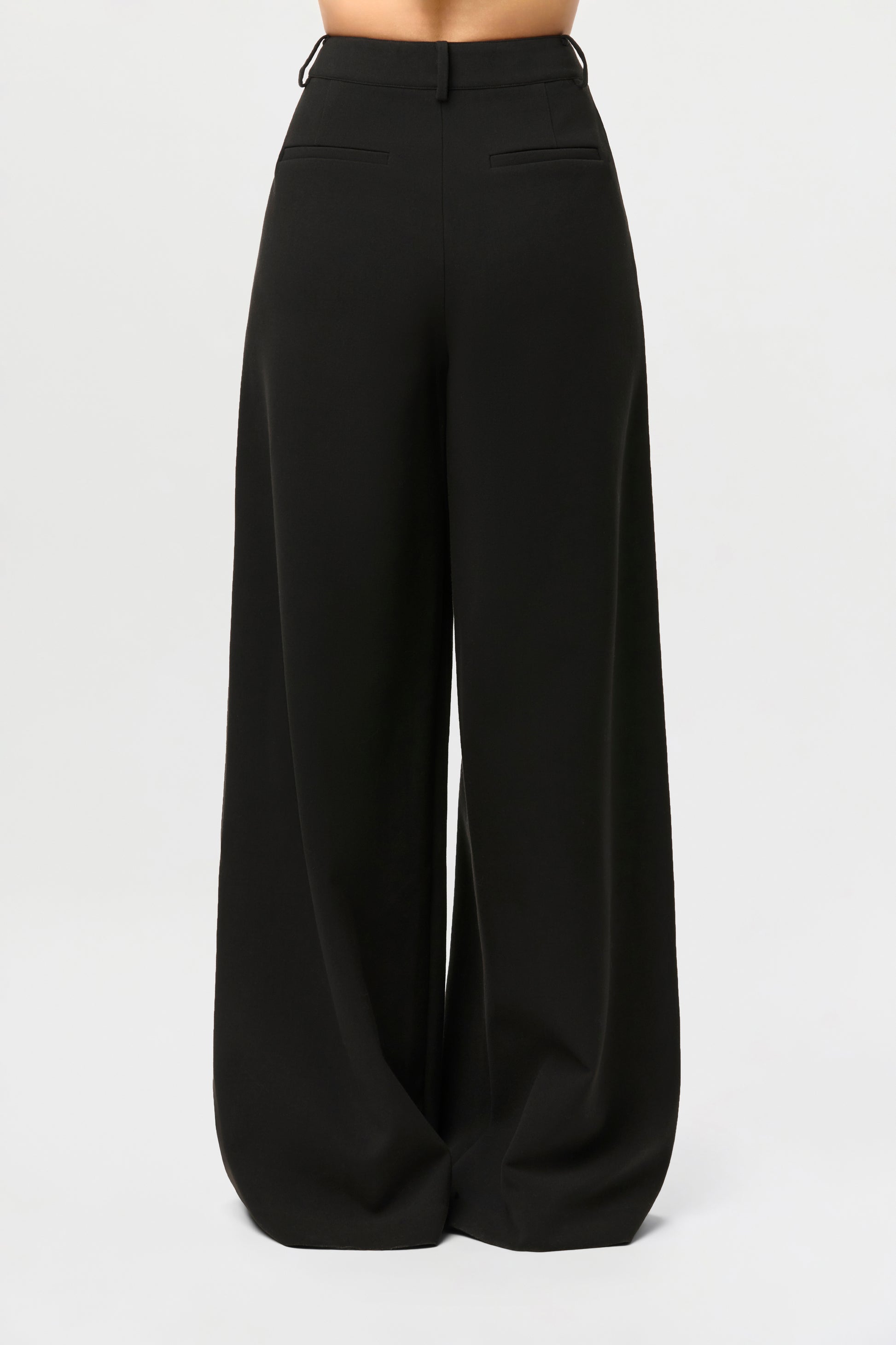 Suiting Wide-Leg Pants