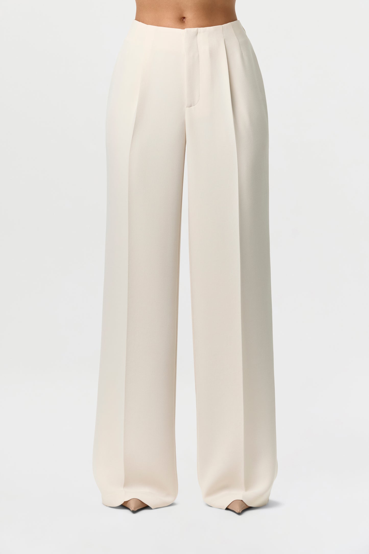 Suiting Pleated Wide-Leg Pants
