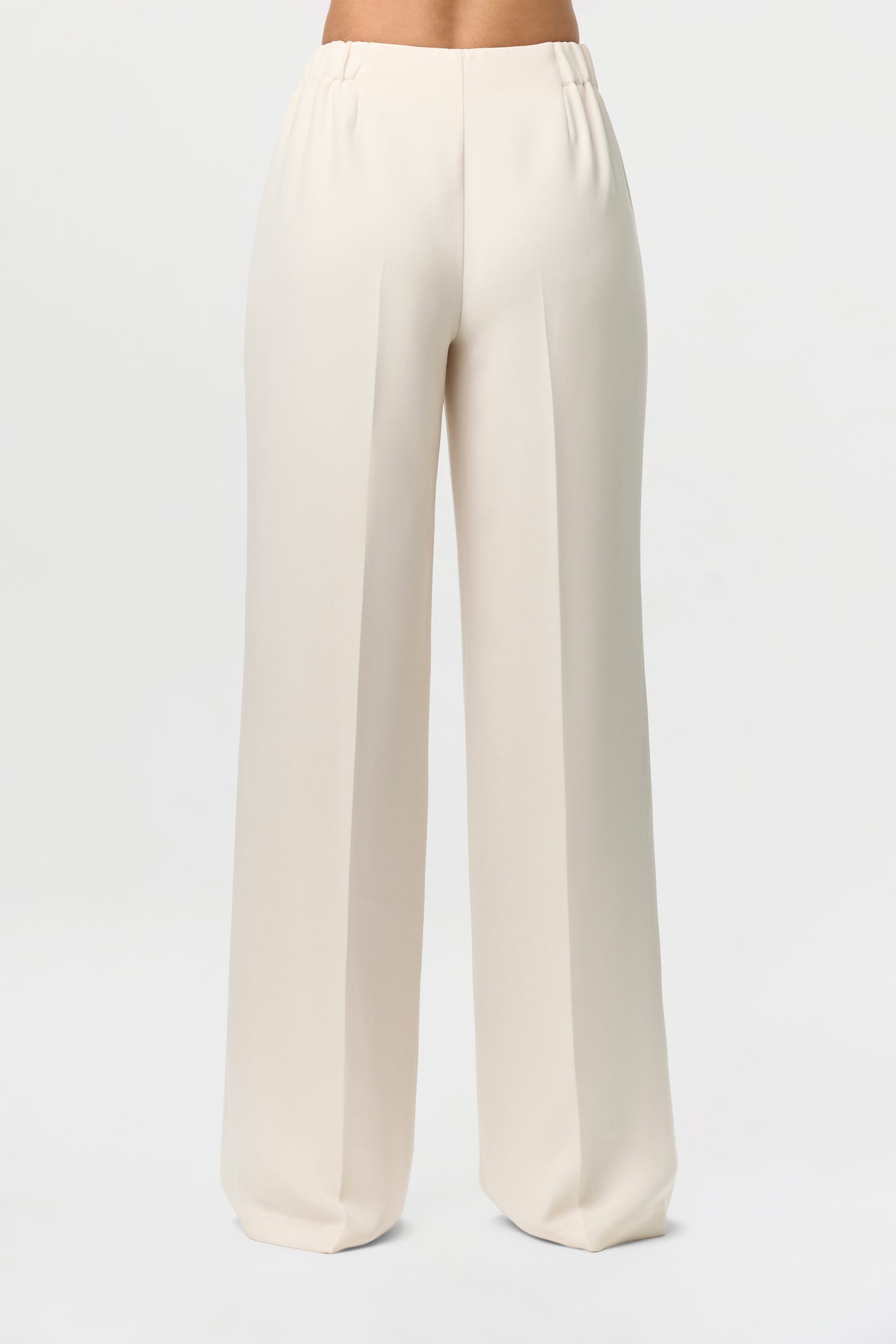 Suiting Pleated Wide-Leg Pants